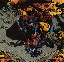 Wolverine on the tree KUBERT.gif (51693 byte)